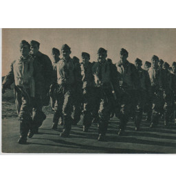 *Kampfegeschwander -Luftwaffe*