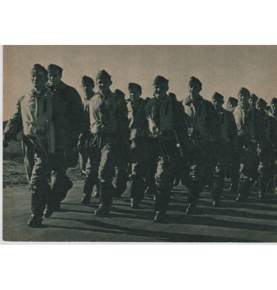 *Kampfegeschwander -Luftwaffe*