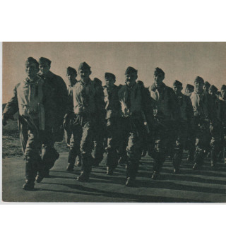 *Kampfegeschwander -Luftwaffe*