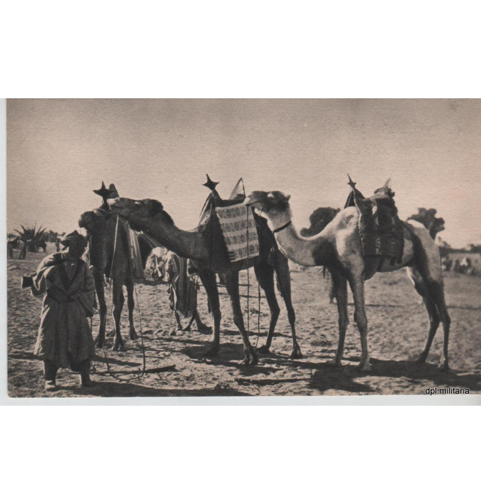 Carte postale - AF
