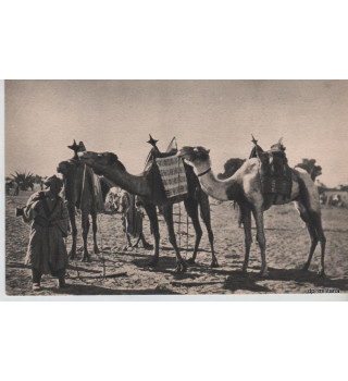 Carte postale - AF