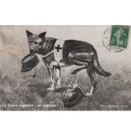 *Französische patriotische Postkarte*