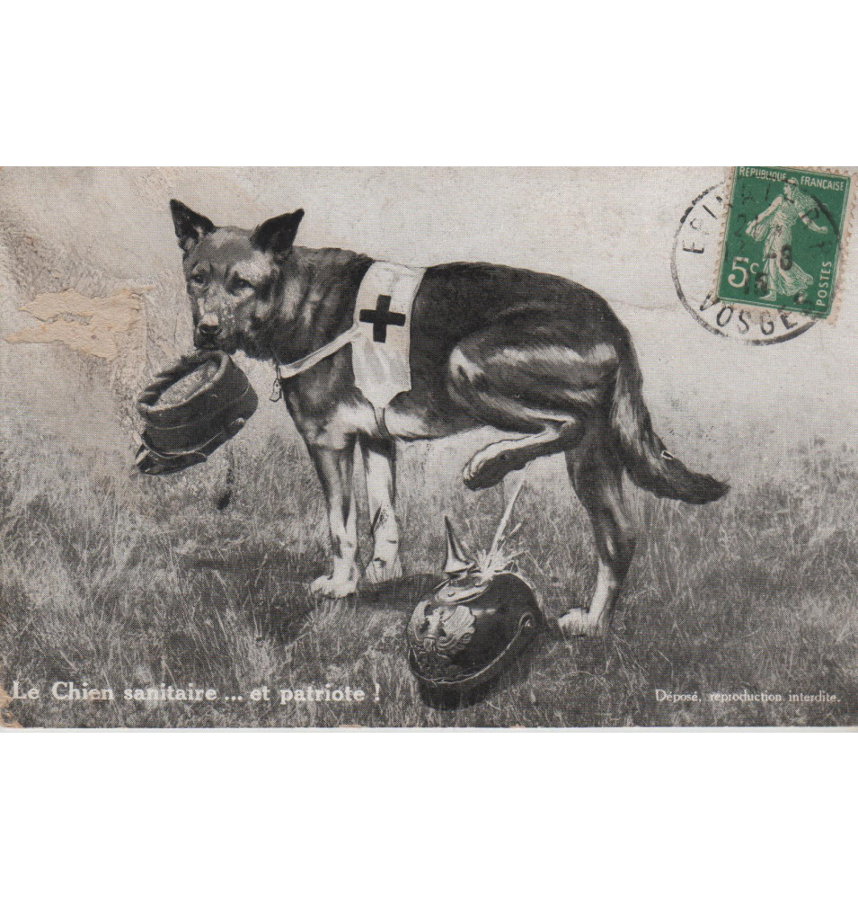 *Französische patriotische Postkarte*