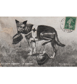 *Französische patriotische Postkarte*