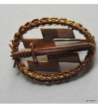 *Insigne sportif or SS néerlandais*