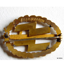 *Insigne sportif or SS néerlandais*