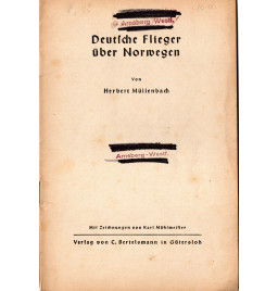 *Deutsche Flieger über Norwegen*