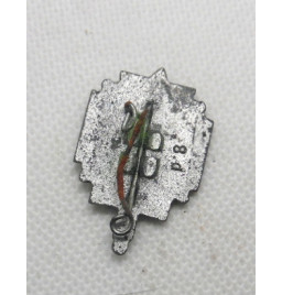 *Petit insigne - NSKOV*