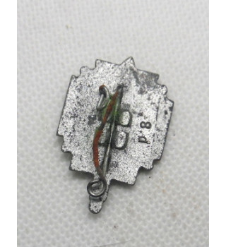 *Petit insigne - NSKOV*