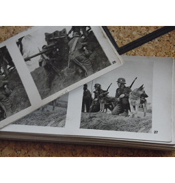 *Lunette stéréoscopique et photos