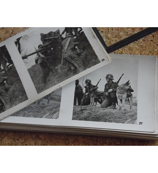 *Set von 100 Doppelfotos *