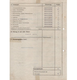*Ausbildungszeugnis*