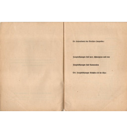 *Der Jungvolkdienst - HJ*