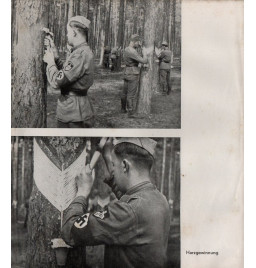 *Livre de l'année 1937/38 -RAD*