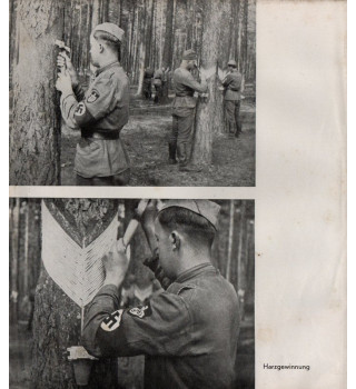 *Livre de l'année 1937/38 -RAD*