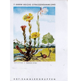 *Postkarte  - KdF*