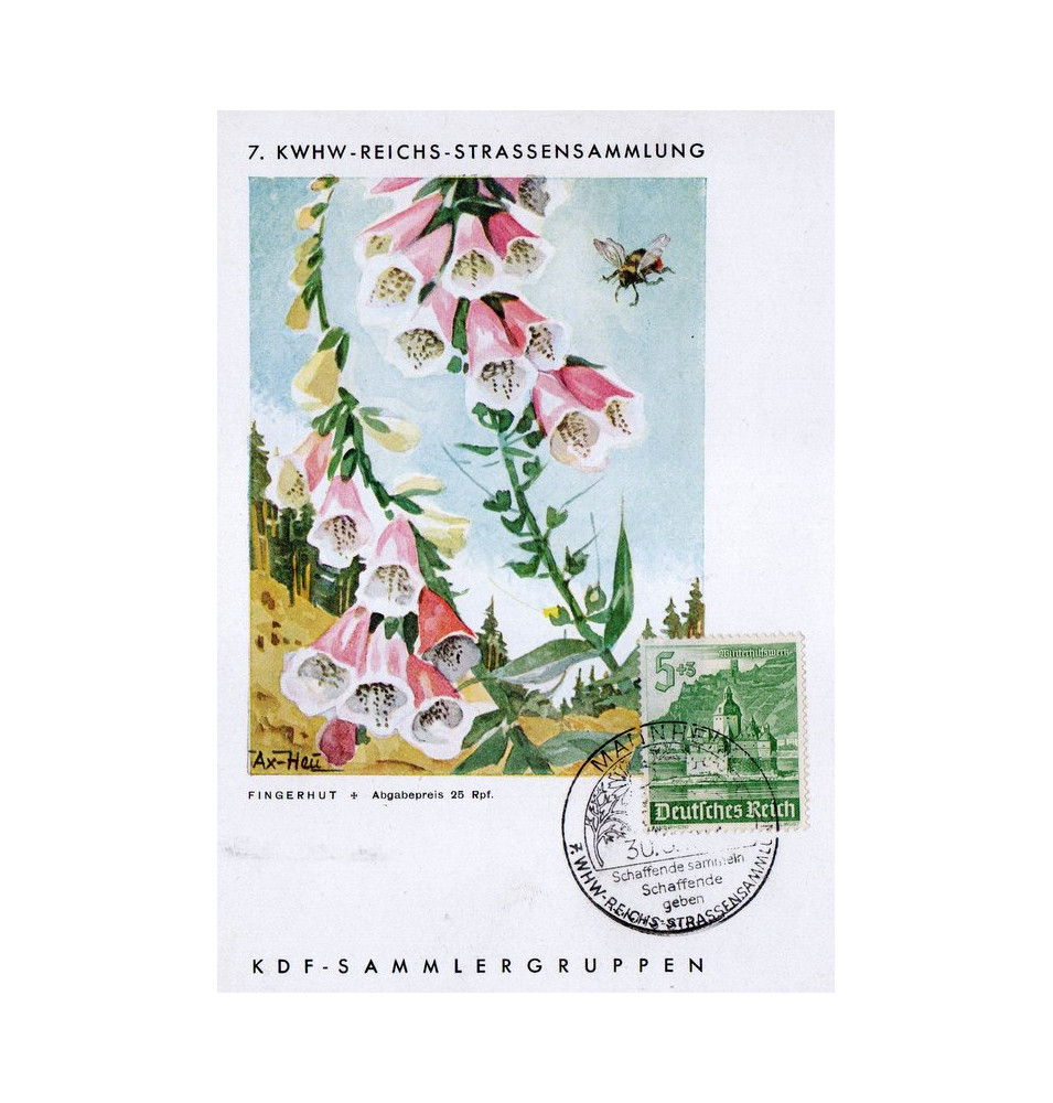 *Carte postale - KdF*