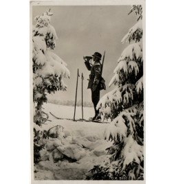 *Carte postale - Reichswehr*