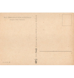 *Postkarte - Kolodesy*