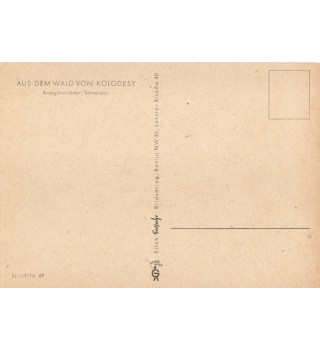 *Postkarte - Kolodesy*