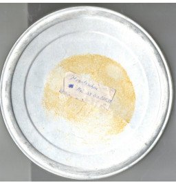 *Actualités allemandes 1939*