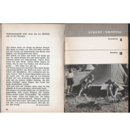 * BDM  Tagebuch - 1936*