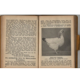 *Annuaire des éleveurs de volailles - 1932*