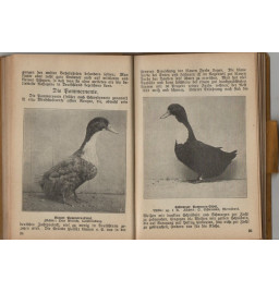 *Annuaire des éleveurs de volailles - 1932*