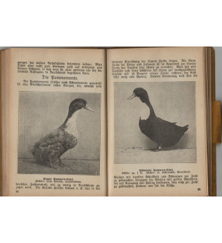 *Annuaire des éleveurs de volailles - 1932*