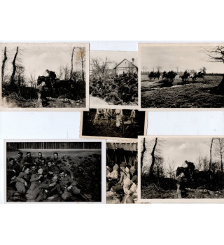 *Set mit 7 verschiedenen deutschen Fotos *