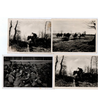 *Set mit 7 verschiedenen deutschen Fotos *