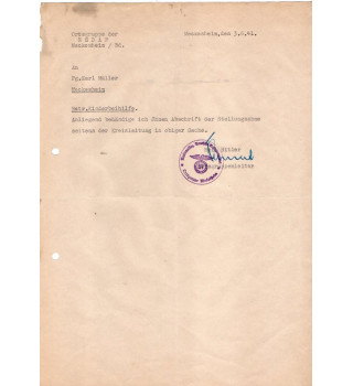 *NSDAP . Meckesheim*