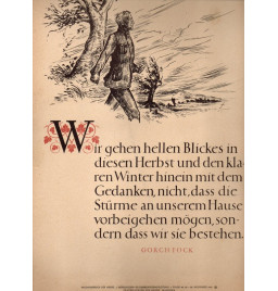 *Affiche propagande - NSDAP*