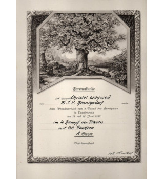 *Diplôme sportif féminin*