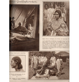 *Deutsche Monatszeitschrift - Die Woche*