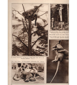 *Deutsche Monatszeitschrift  - Die Woche*