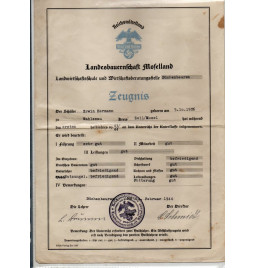 *Ensemble de documents - Hermann*