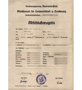 *Ensemble de documents - Hermann*