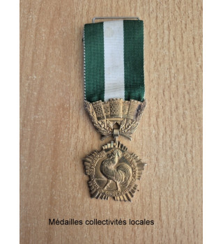 *Médaille collectivités locales*