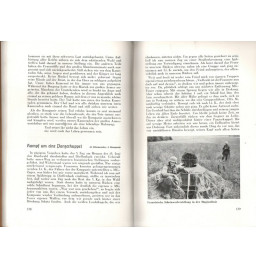 *Schlachten an der Maginot-Linie*