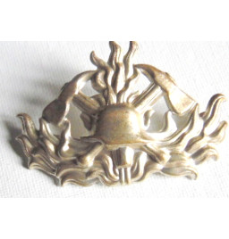 *Emblème coiffe pompier *