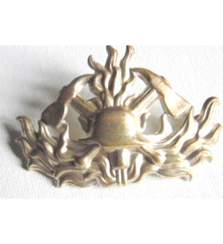 *Emblème coiffe pompier *