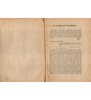 *Soldat allemand regarde l'Union Soviétique*