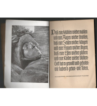 * Und setzet ihr nicht das Leben ein*