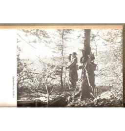 *Zwischen Weswall und Maginotlinie*