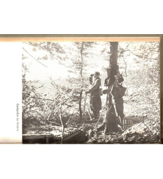 *Entre le mur ouest et la ligne Maginot*