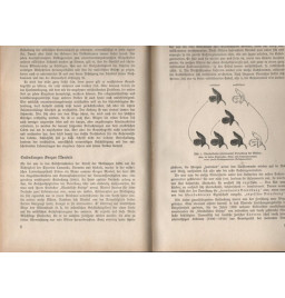 *Was muss der Nationalsozialist von der Dererbung wissen?*