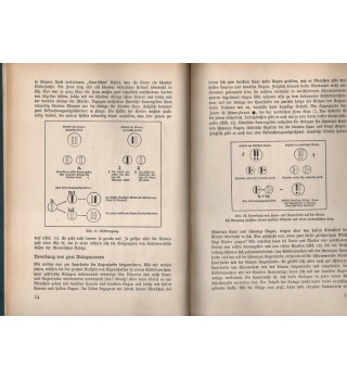 *Was muss der Nationalsozialist von der Dererbung wissen?*