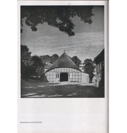 *Das Deutsche Volksgesicht*