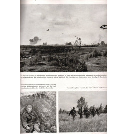 *Nos divisions à l'est*